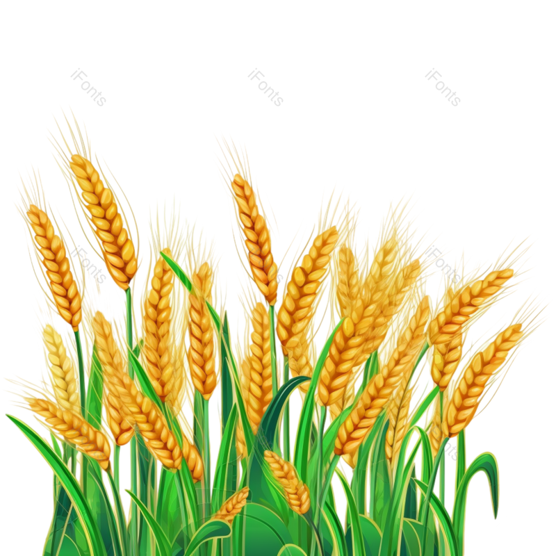 叶子图片,元素元素,劳动PNG,秋天免抠素材